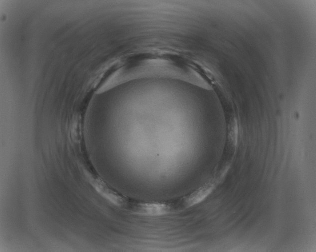 X0000081320233200701111341