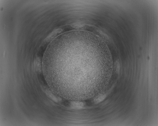 X0000081320234200701111341