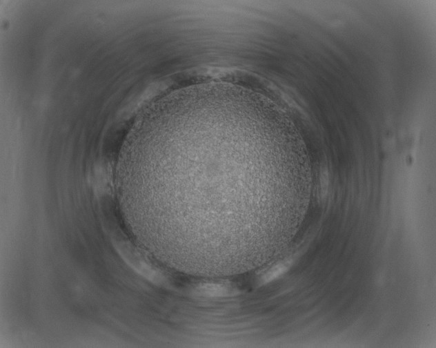 X0000081320236200701111341