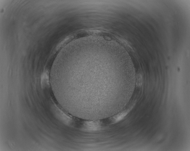 X0000081320238200701111341