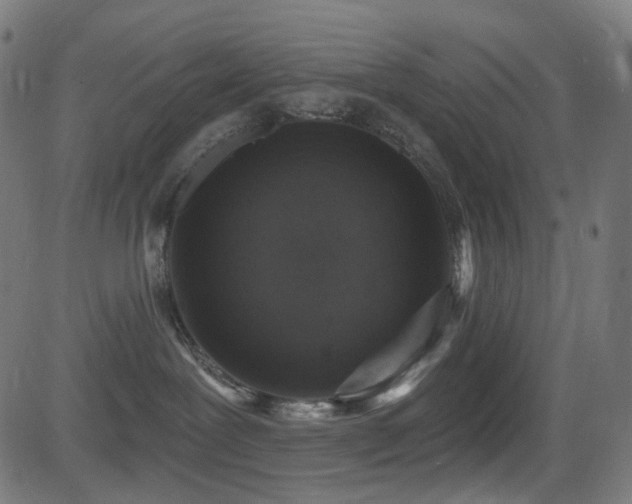 X0000081320239200701111341