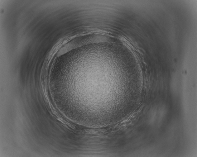 X0000081320241200701111340
