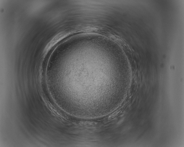 X0000081320242200701111340