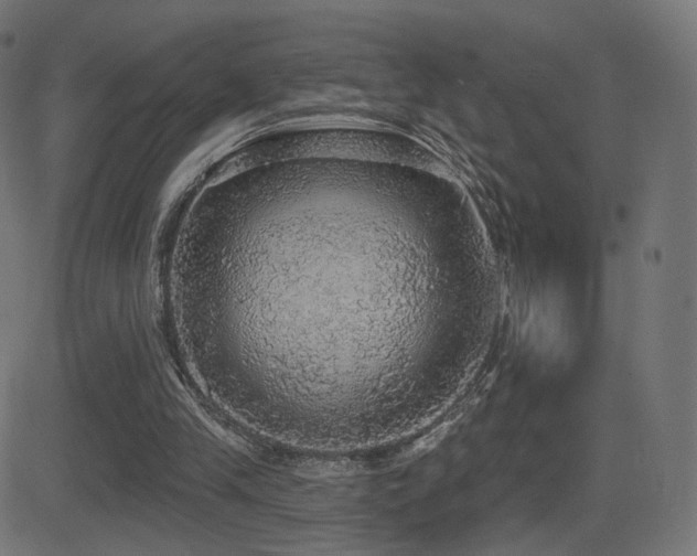 X0000081320245200701111341