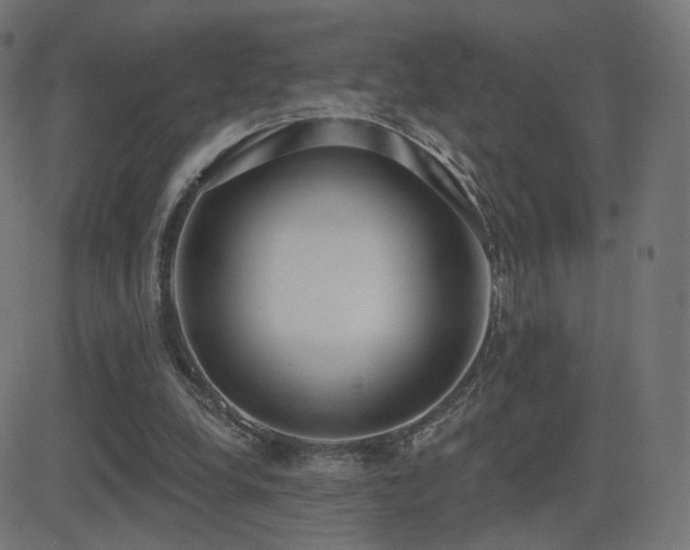 X0000081320248200701111341