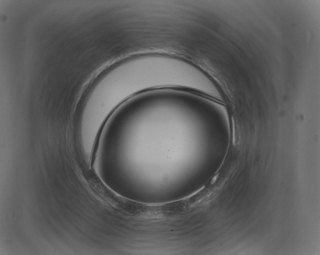 X0000081320252200701111341