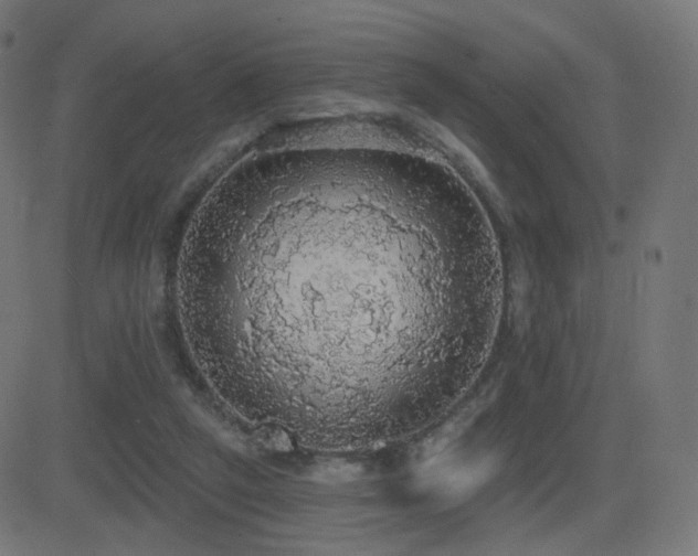 X0000081320257200701111341