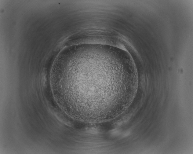 X0000081320259200701111341