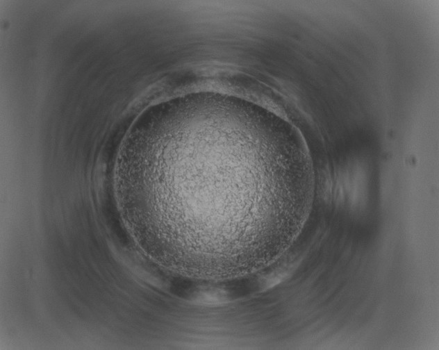 X0000081320263200701111341