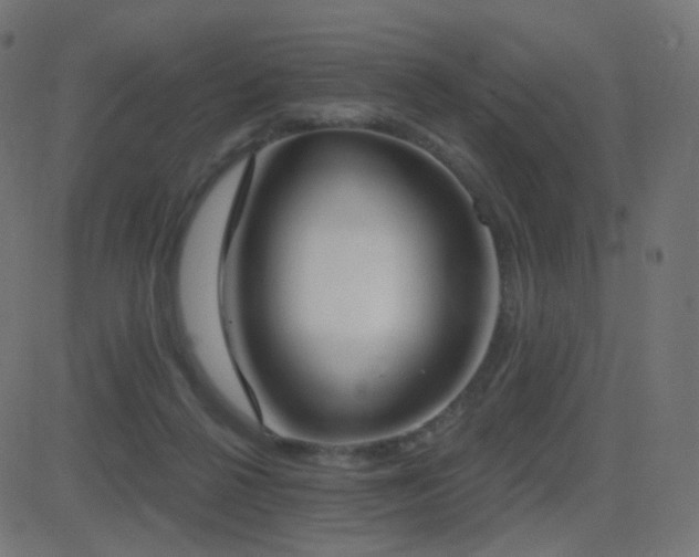 X0000081320264200701111341