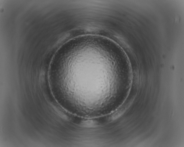 X0000081320269200701111341