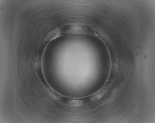 X0000081320277200701111341