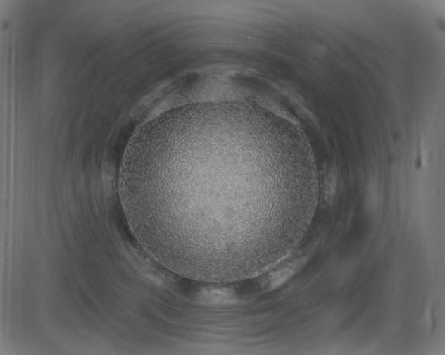 X0000081320283200701111341