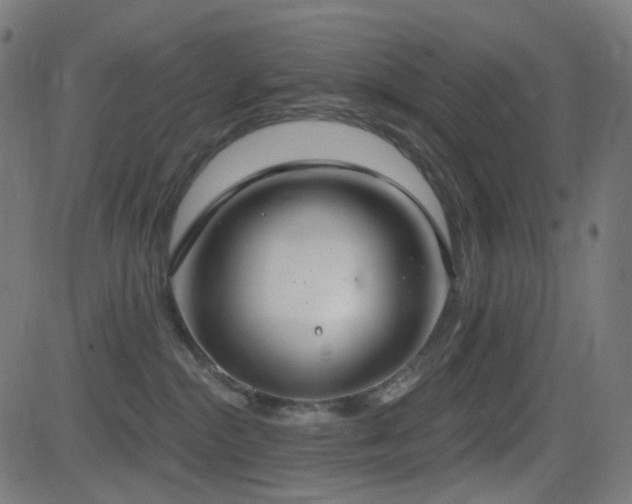 X0000081320284200701111341