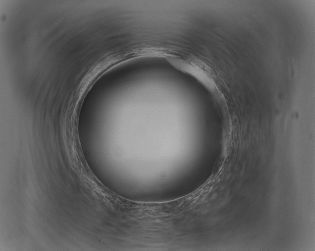 X0000081320289200701111340