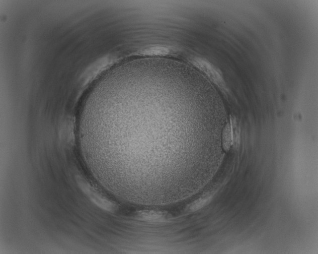 X0000081320300200701111340