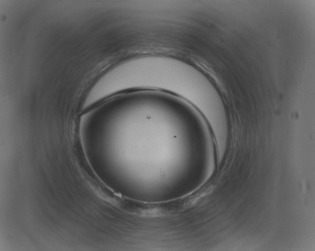 X0000081320309200701111340