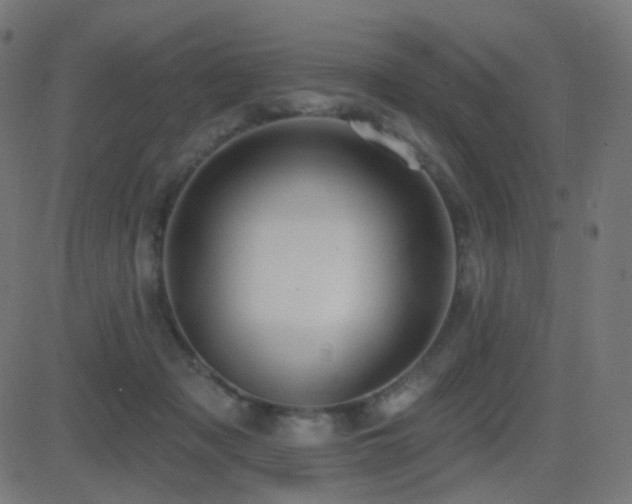 X0000081320317200701111340