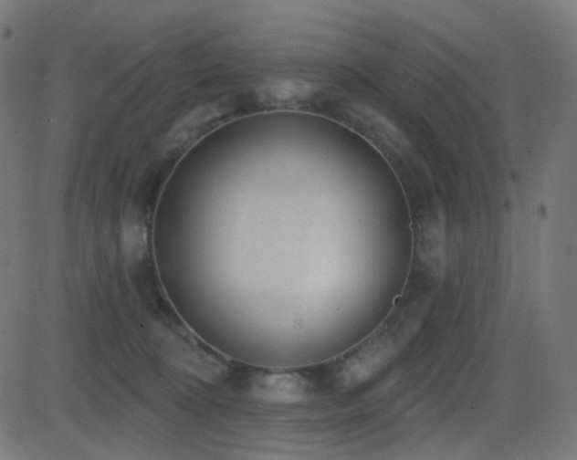 X0000081320324200701111340