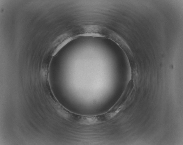 X0000081320329200701111340