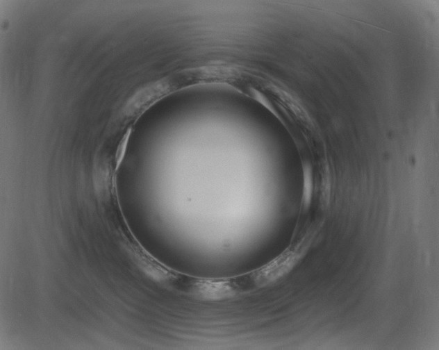 X0000081320333200701111340
