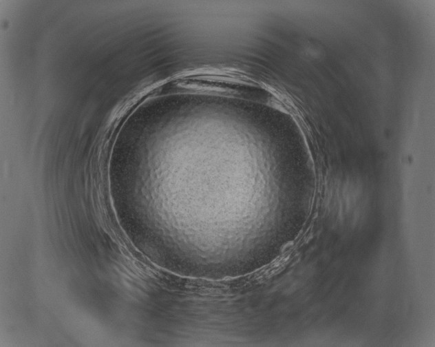 X0000081320337200701111339