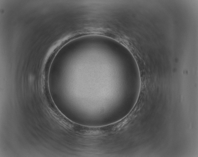 X0000081320342200701111339