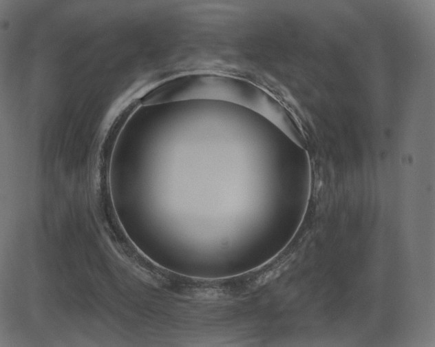 X0000081320344200701111339