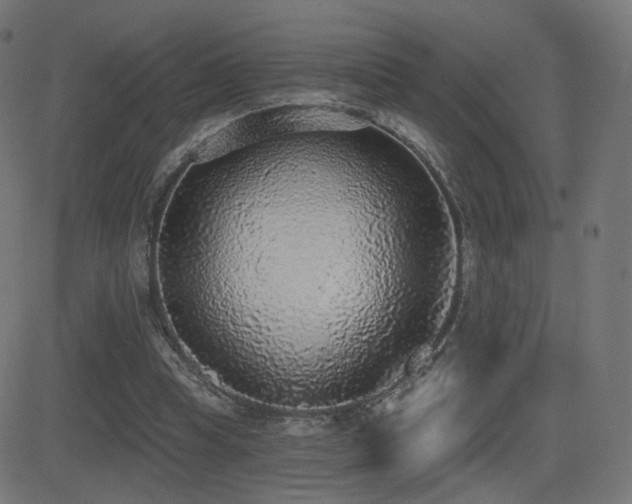 X0000081320345200701111339