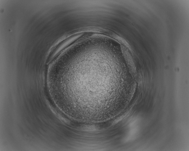 X0000081320349200701111339