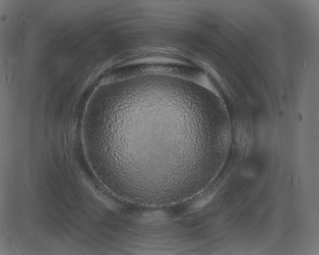 X0000081320357200701111339