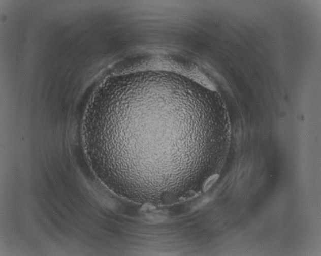 X0000081320359200701111339