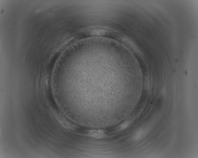 X0000081320363200701111339