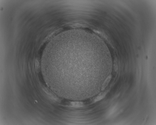 X0000081320371200701111339