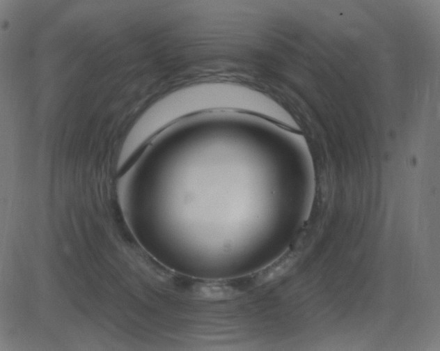 X0000081320372200701111339