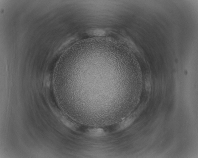 X0000081320374200701111339