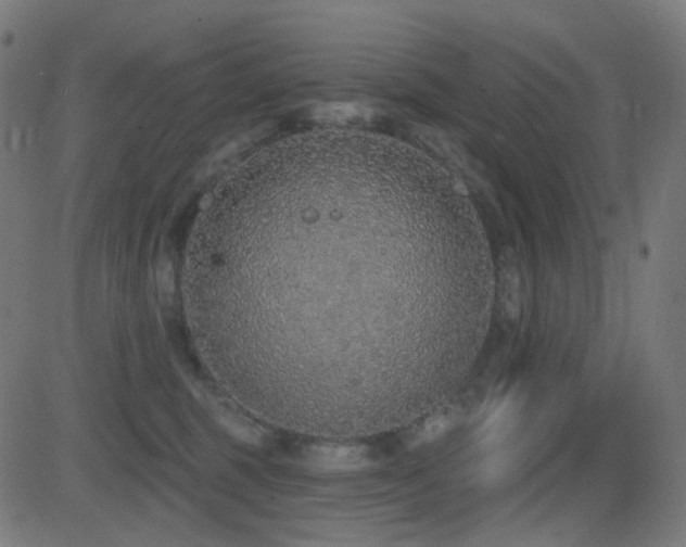X0000081320375200701111339