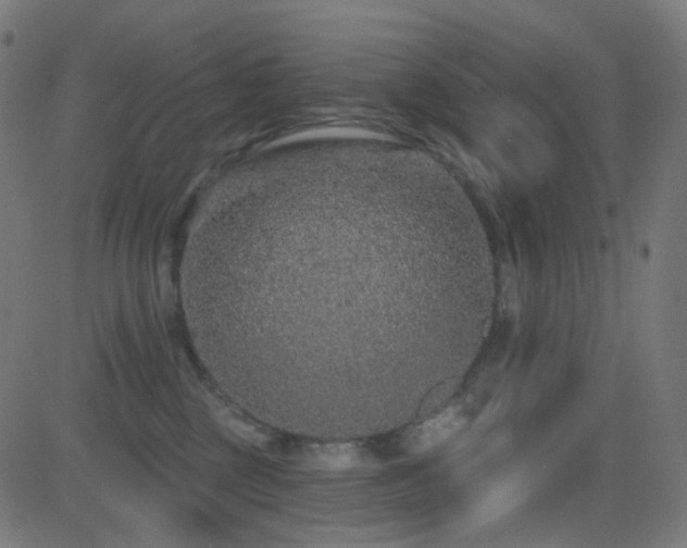 X0000081320377200701111340