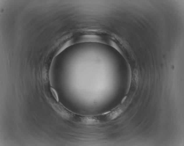 X0000081320380200701111340