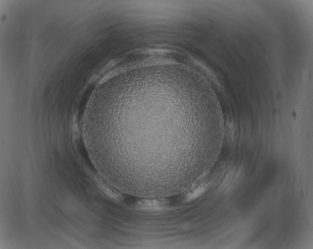 X0000081320381200701111340