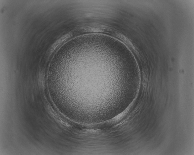 X0000081320386200701111339