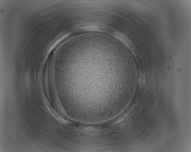 X0000081320390200701111339
