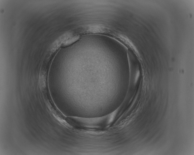 X0000081320393200701111339