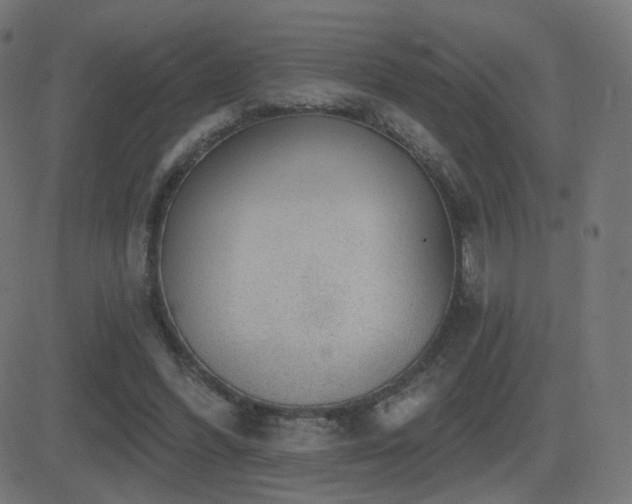 X0000081320396200701111339