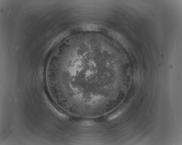 X0000081320402200701111339