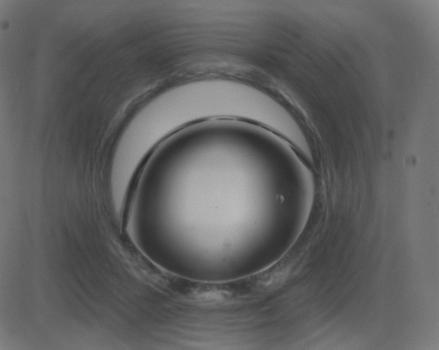 X0000081320407200701111338