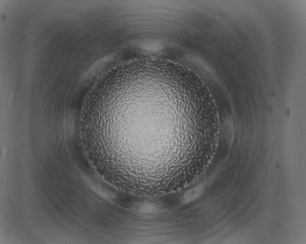 X0000081320412200701111338