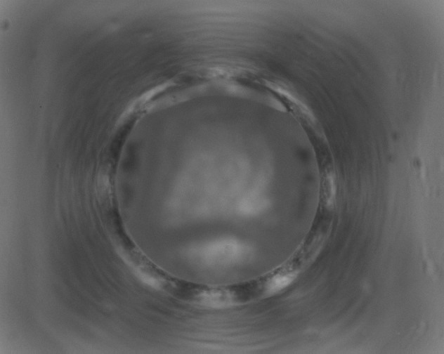 X0000081320415200701111338