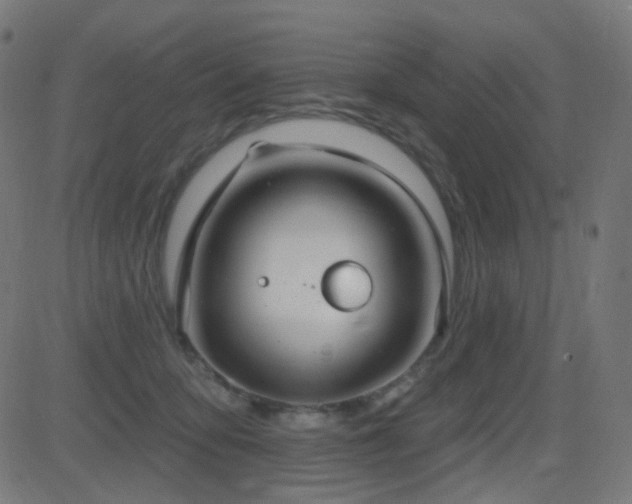 X0000081320419200701111338