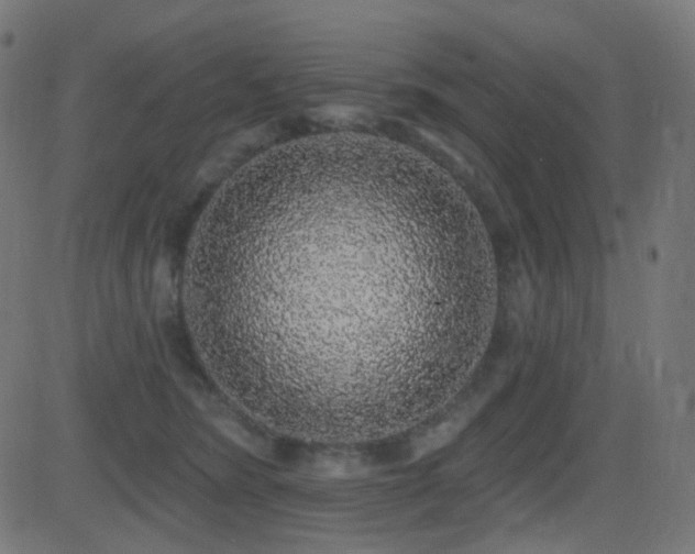 X0000081320420200701111338